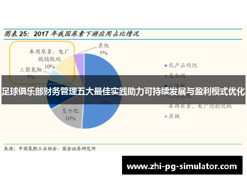 足球俱乐部财务管理五大最佳实践助力可持续发展与盈利模式优化