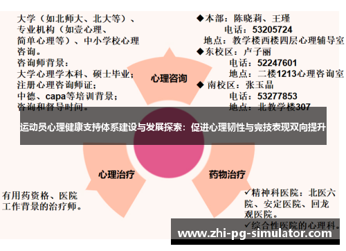 运动员心理健康支持体系建设与发展探索：促进心理韧性与竞技表现双向提升