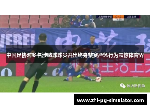 中国足协对多名涉赌球球员开出终身禁赛严惩行为震惊体育界