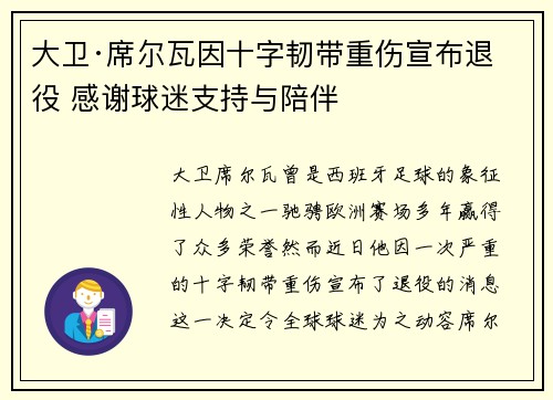 大卫·席尔瓦因十字韧带重伤宣布退役 感谢球迷支持与陪伴