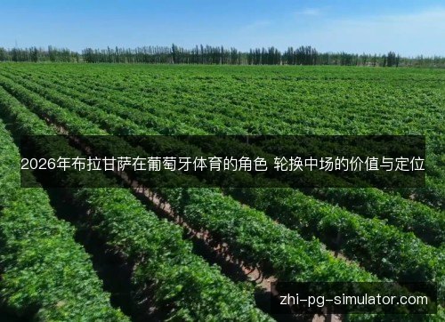 2026年布拉甘萨在葡萄牙体育的角色 轮换中场的价值与定位